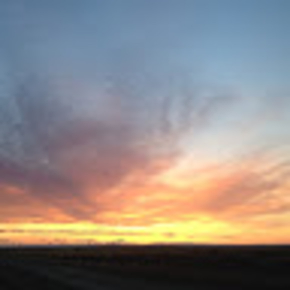 Meet your Posher, Annette - Picture 1 of 1